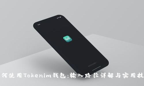 如何使用Tokenim钱包：输入路径详解与实用技巧