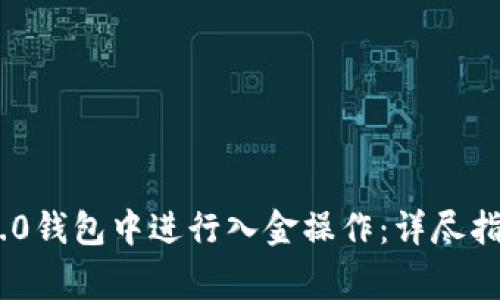 如何在Tokenim 2.0钱包中进行入金操作：详尽指南与常见问题解答
