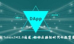 深入解析TokenIM2.0通道：推