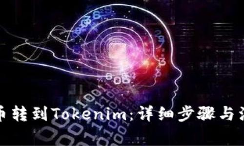 如何将币转到Tokenim：详细步骤与注意事项