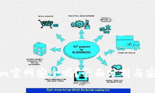 Tokenim官网安全吗？全面分析与安全指南
