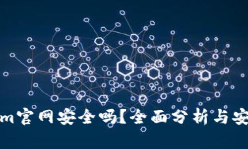 Tokenim官网安全吗？全面分析与安全指南