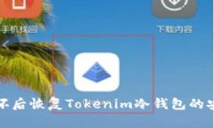 如何在手机损坏后恢复Tokenim冷钱包的安全及资金