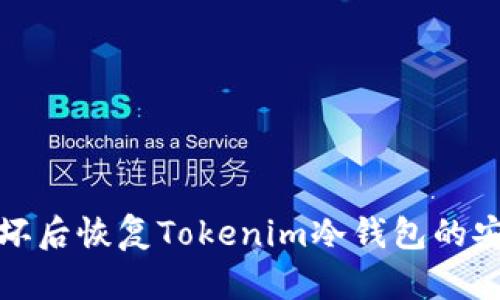 如何在手机损坏后恢复Tokenim冷钱包的安全及资金访问