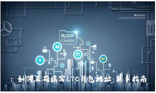 : 如何正确填写LTC钱包地址：新手指南