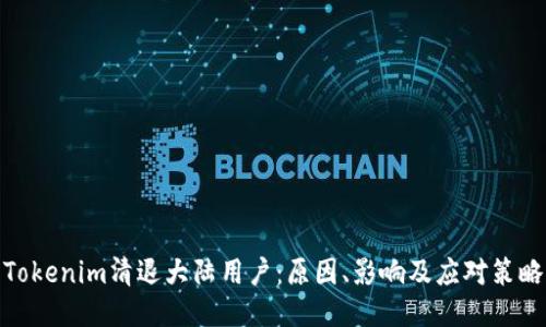 Tokenim清退大陆用户：原因、影响及应对策略