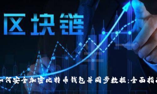 如何安全加密比特币钱包并同步数据：全面指南