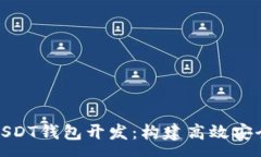 : 全方位解析Omni-USDT钱包开发：构建高效安全数字