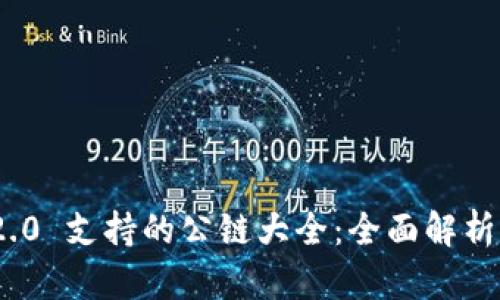 TokenIM 2.0 支持的公链大全：全面解析与使用指南