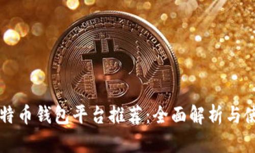 顶级比特币钱包平台推荐：全面解析与使用指导