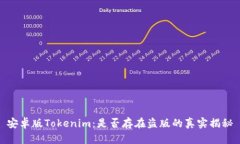 安卓版Tokenim：是否存在盗