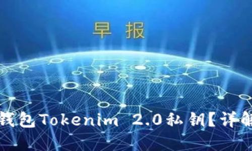如何使用冷钱包Tokenim 2.0私钥？详解与实用指南