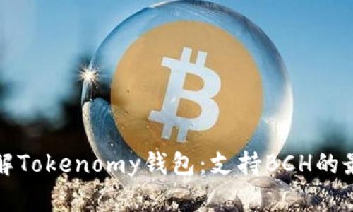 深入了解Tokenomy钱包：支持BCH的最佳选择