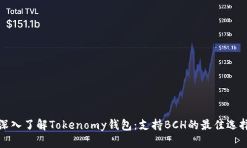 深入了解Tokenomy钱包：支持BCH的最佳选择