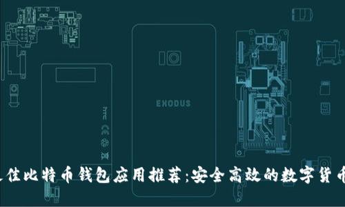 2023年最佳比特币钱包应用推荐：安全高效的数字货币管理工具