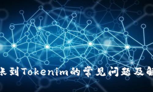 XMR转账到Tokenim的常见问题及解决方案