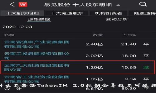为什么不备份TokenIM 2.0私钥会导致不可逆损失？