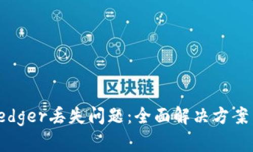 如何处理Ledger丢失问题：全面解决方案与预防措施