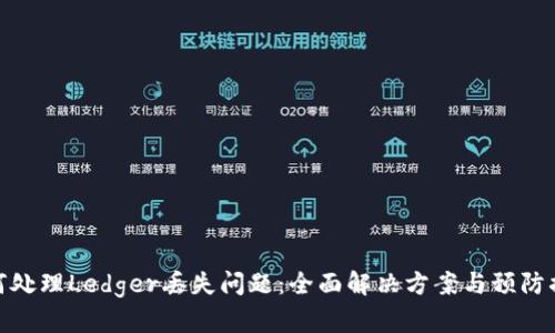 如何处理Ledger丢失问题：全面解决方案与预防措施