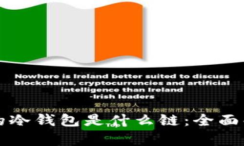 如何查看自己的冷钱包是什么链：全面解析与操作指南