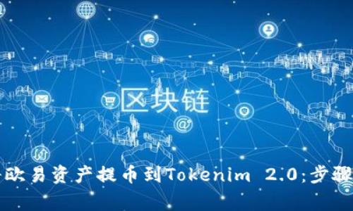 详解如何将欧易资产提币到Tokenim 2.0：步骤与注意事项