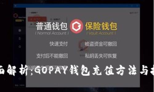 全面解析：GOPAY钱包充值方法与技巧