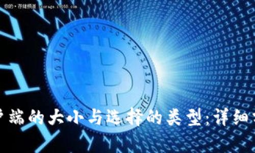 比特币客户端的大小与选择的类型：详细分析与比较