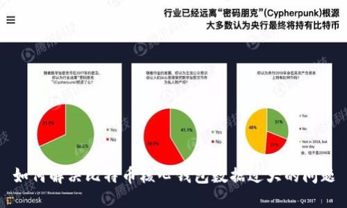 如何解决比特币核心钱包数据过大的问题