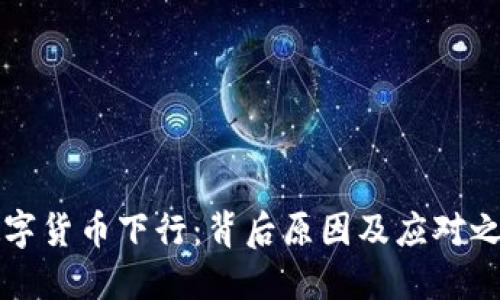 数字货币下行：背后原因及应对之策