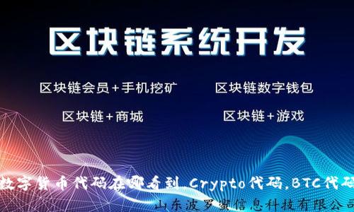 数字货币代码在哪看到，Crypto代码，BTC代码