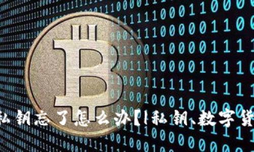 比特币钱包私钥忘了怎么办？|私钥、数字货币、安全问题