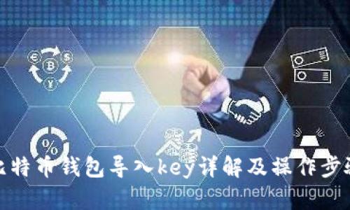 比特币钱包导入key详解及操作步骤