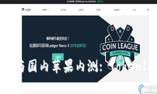 如何参与国内苹果内测: TokenIM为例