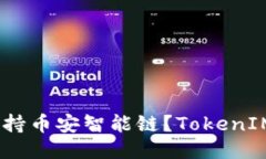 TokenIM是否支持币安智能链？TokenIM支持哪些公链？