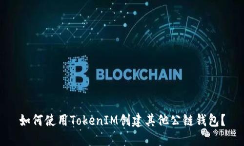 如何使用TokenIM创建其他公链钱包？