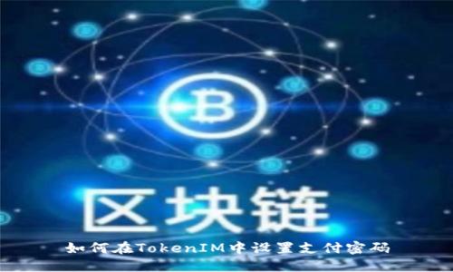 如何在TokenIM中设置支付密码