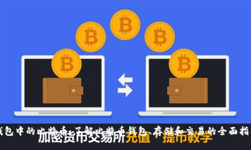 钱包中的比特币：了解比特币钱包、存储和交易的全面指南