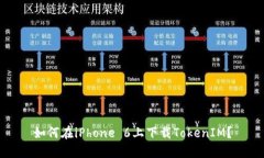 如何在iPhone 6上下载TokenIM？