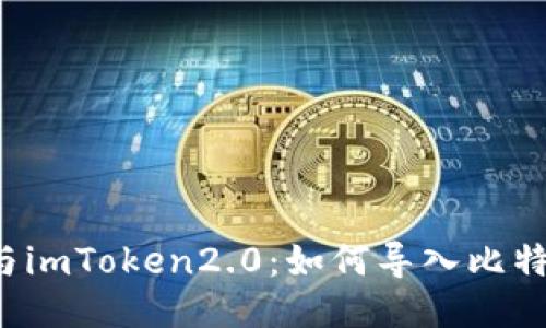 比特派与imToken2.0：如何导入比特币钱包？