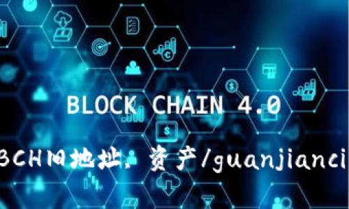 IM2.0, BCH旧地址, 资产/guanjianci解决方案